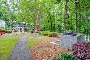 a view of a patio with plants and trees