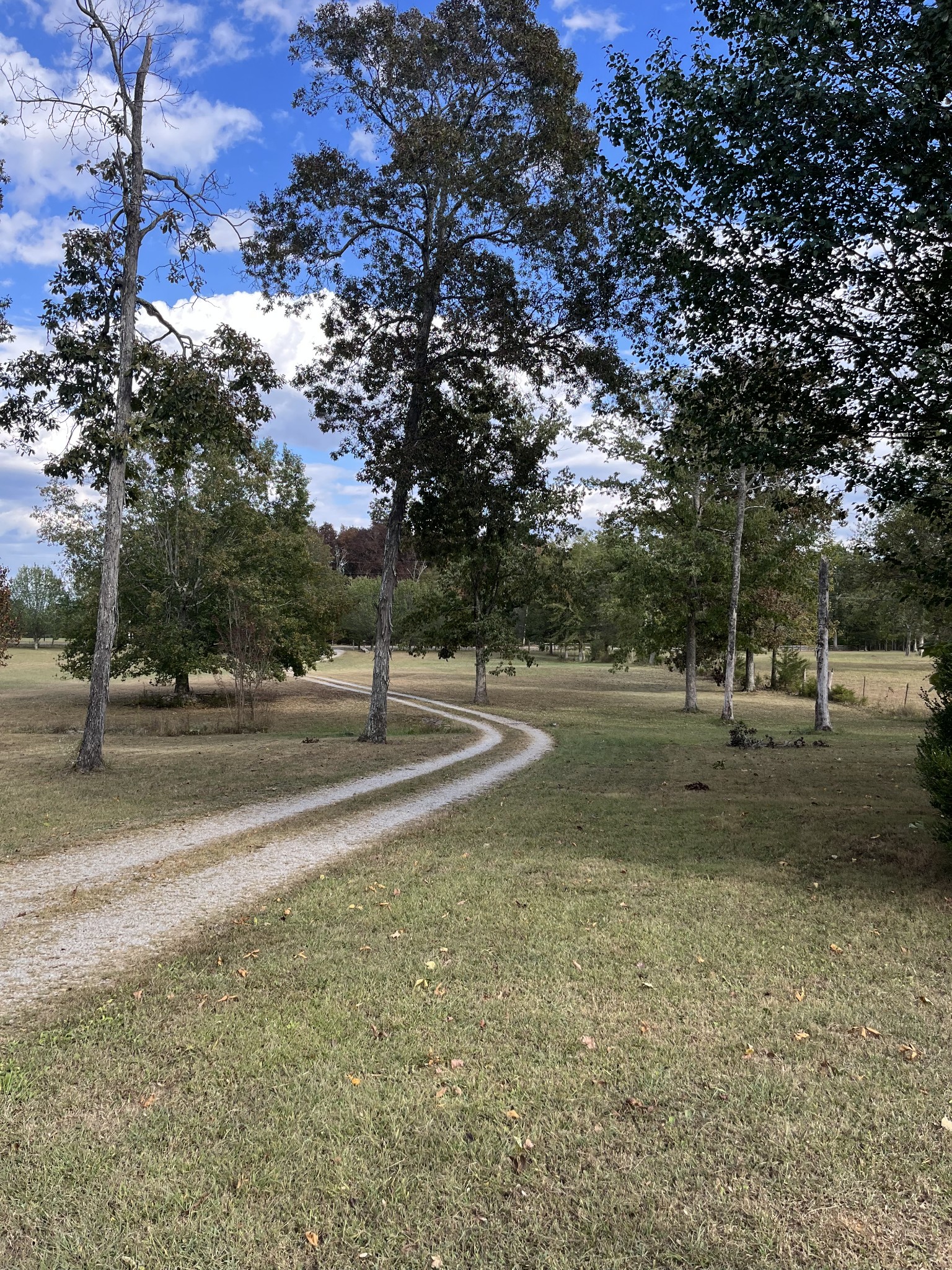 646 Belfast Farmington Road Belfast, TN 37019 - Photo 3 of 15 Gallery Image 3