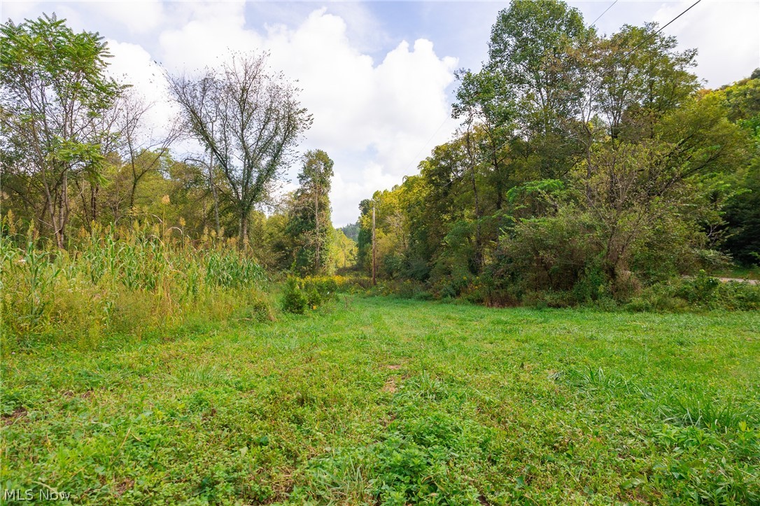 37500 Goose Run Road Dexter City, OH 45727 - Photo 5 of 50 Gallery Image 5