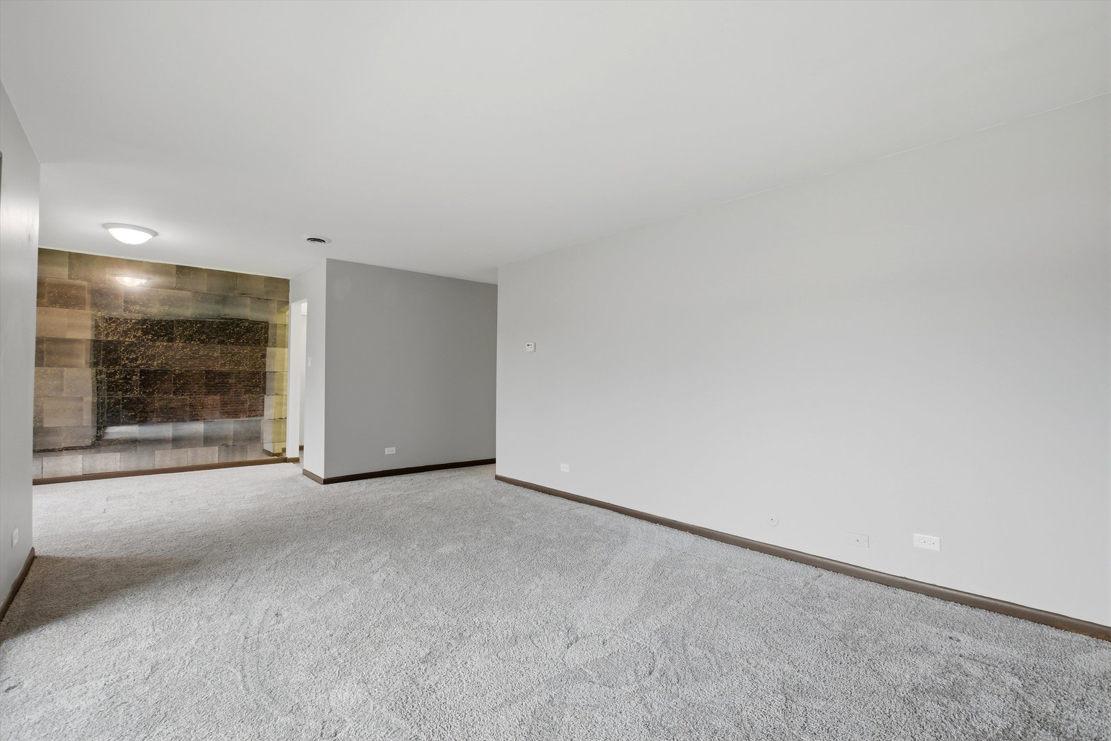 1050 Holbrook Road, Unit Q Homewood, IL 60430 - Photo 4 of 21