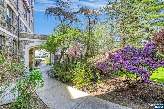 a couple of flower plants in front of a building