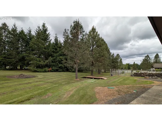 a black and white photo of a golf course