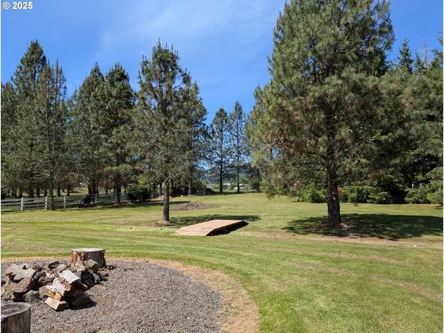 a view of a park with large trees