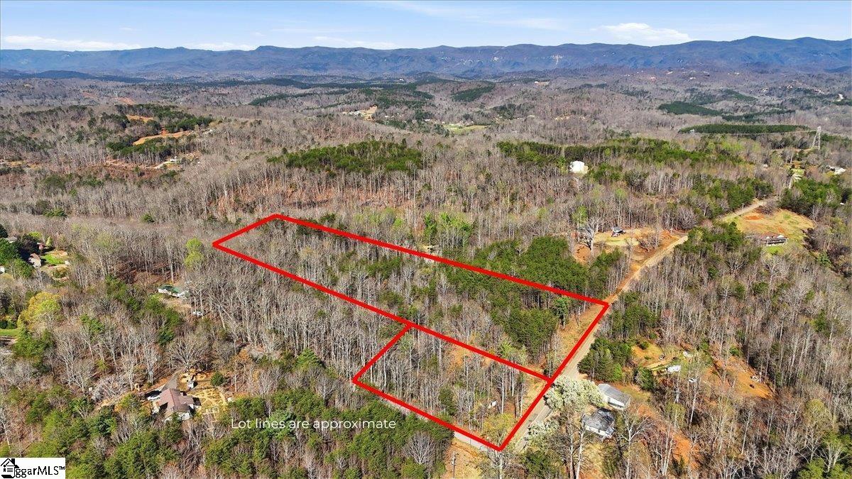 883 Goodwin Bridge Road Travelers Rest, SC 29690 - Photo 1 of 16