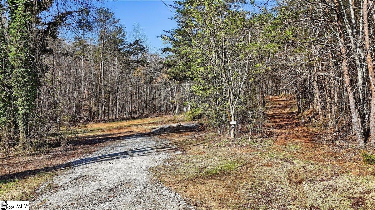 883 Goodwin Bridge Road Travelers Rest, SC 29690 - Photo 12 of 16