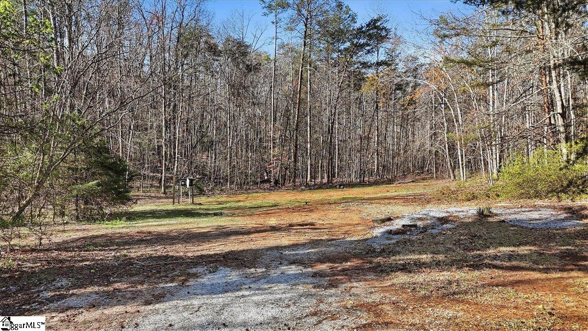 883 Goodwin Bridge Road Travelers Rest, SC 29690 - Photo 13 of 16