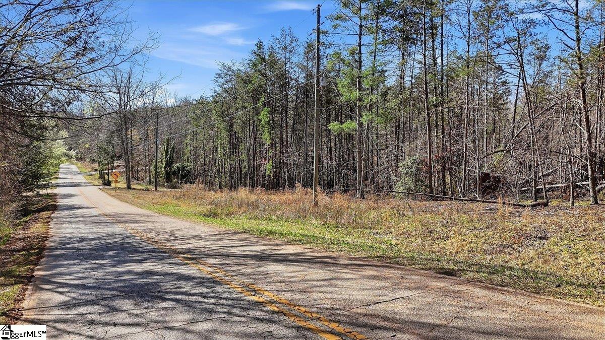883 Goodwin Bridge Road Travelers Rest, SC 29690 - Photo 3 of 16