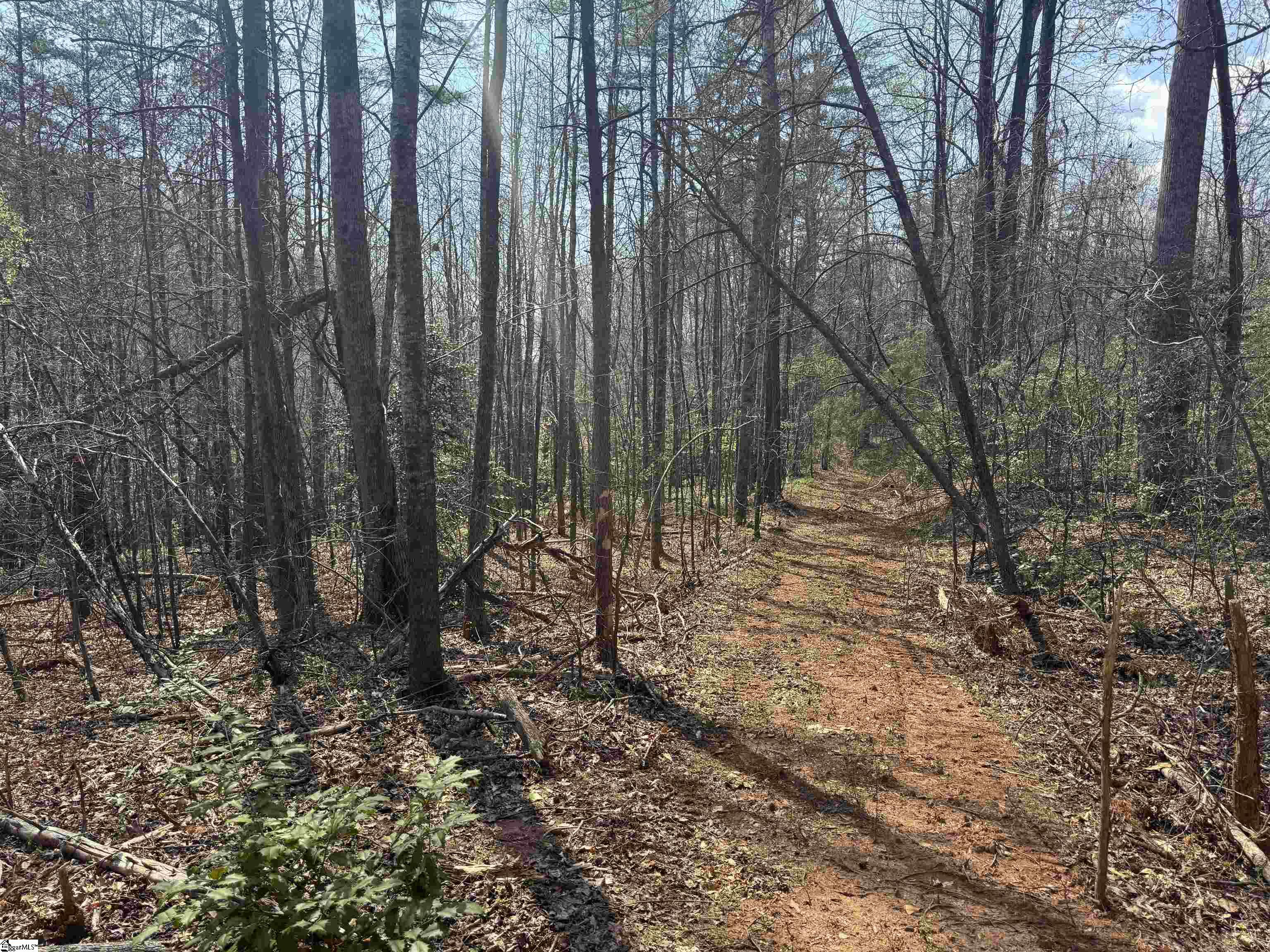 883 Goodwin Bridge Road Travelers Rest, SC 29690 - Photo 4 of 16