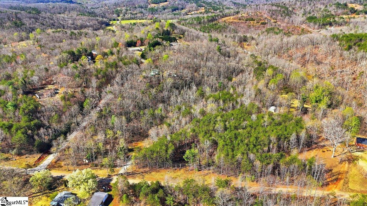 883 Goodwin Bridge Road Travelers Rest, SC 29690 - Photo 5 of 16