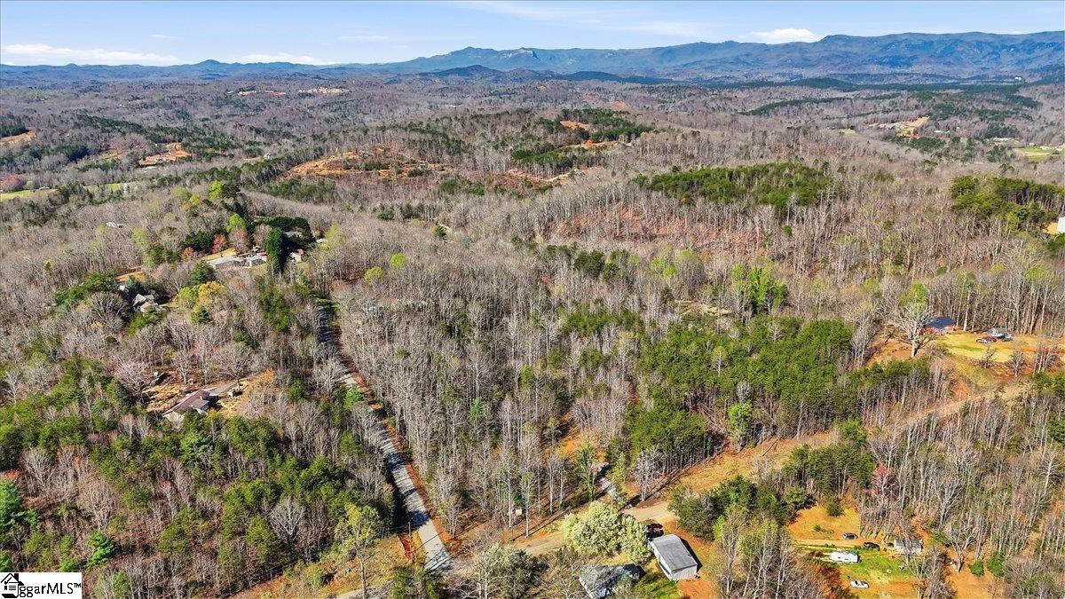 883 Goodwin Bridge Road Travelers Rest, SC 29690 - Photo 6 of 16
