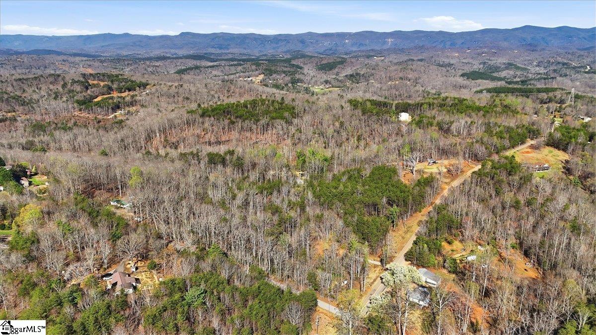883 Goodwin Bridge Road Travelers Rest, SC 29690 - Photo 10 of 16