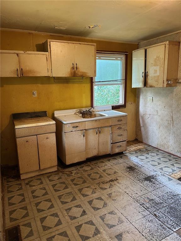 61 Mc Millan Road Mercer, PA 16137 - Photo 6 of 16 a kitchen with a stove a sink and a window