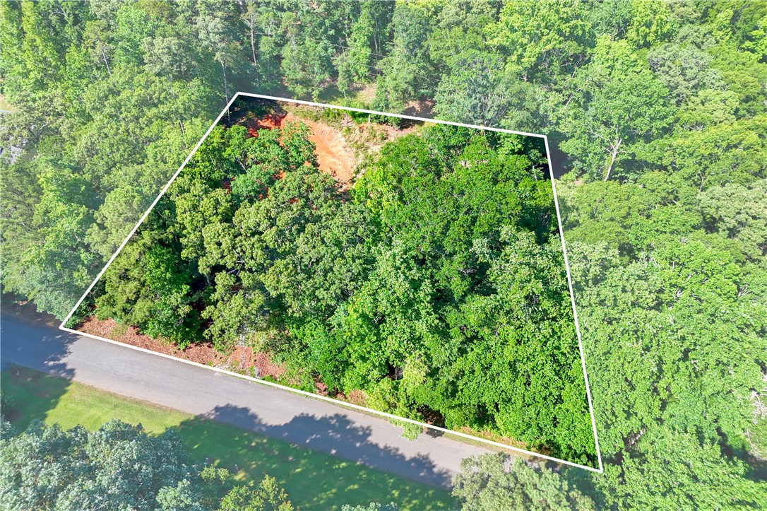 1020 Green Willow Trail Anderson, SC 29621 - Photo 10 of 28 Mature trees blanket this spacious lot, offering a verdant setting for future development.