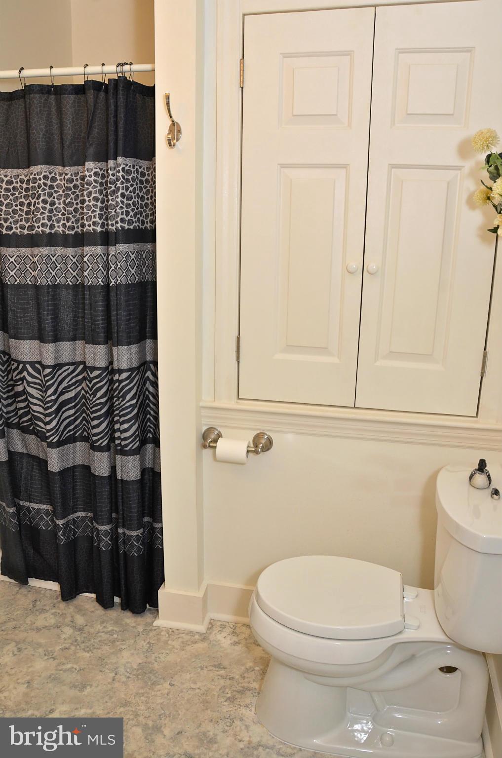 16210 Lappans Road Williamsport, MD 21795 - Photo 20 of 29 Bath