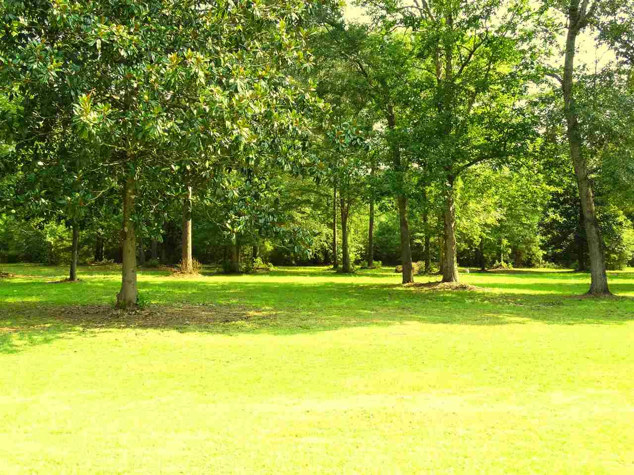 2539 Shady Rest Road Havana, FL 32333 - Photo 1 of 25 Gallery Image 1
