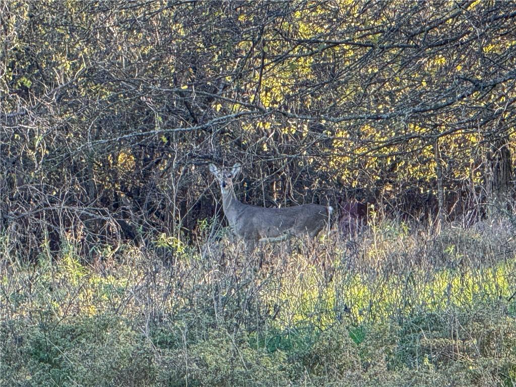 4 Talbert Ranch Road China Spring, TX 76633 - Photo 32 of 49