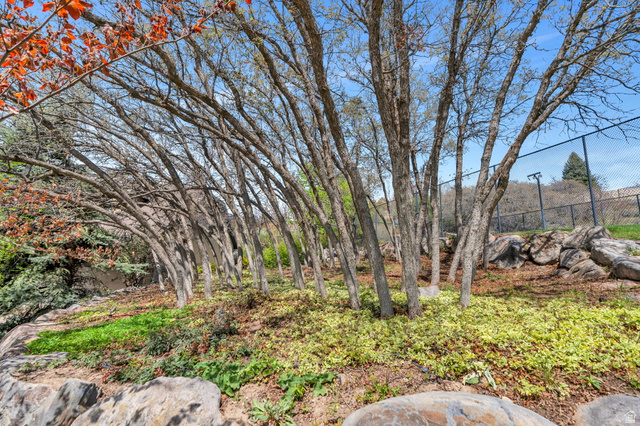 811 South High Ridge Drive Alpine, UT 84004 - Photo 80 of 98 View of yard