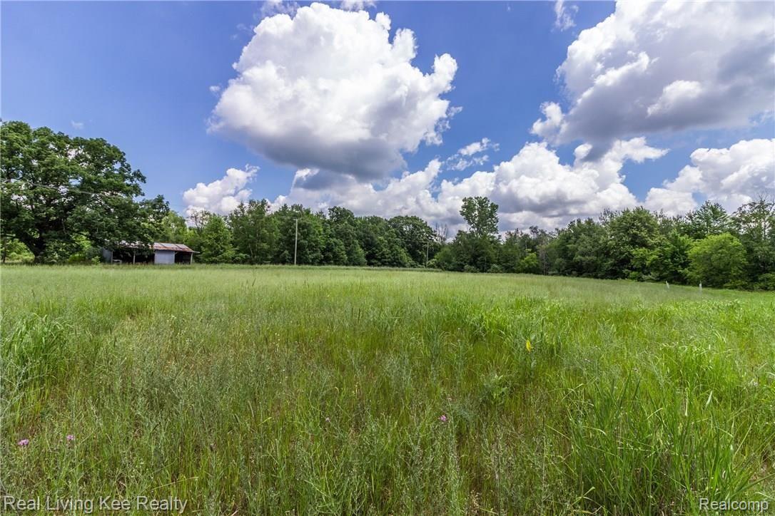 5517 Phillips Road Clifford, MI 48727 - Photo 62 of 74 52.jpg