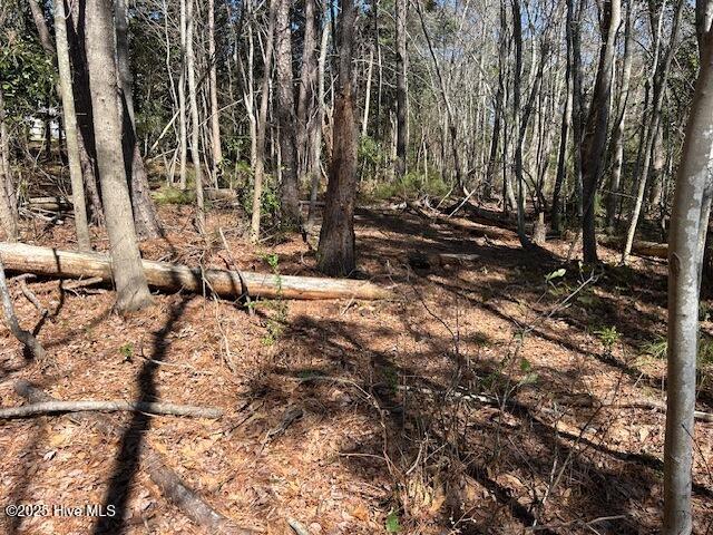 7843 Raintree Road Wilmington, NC 28411 - Photo 6 of 8 IMG_9624
