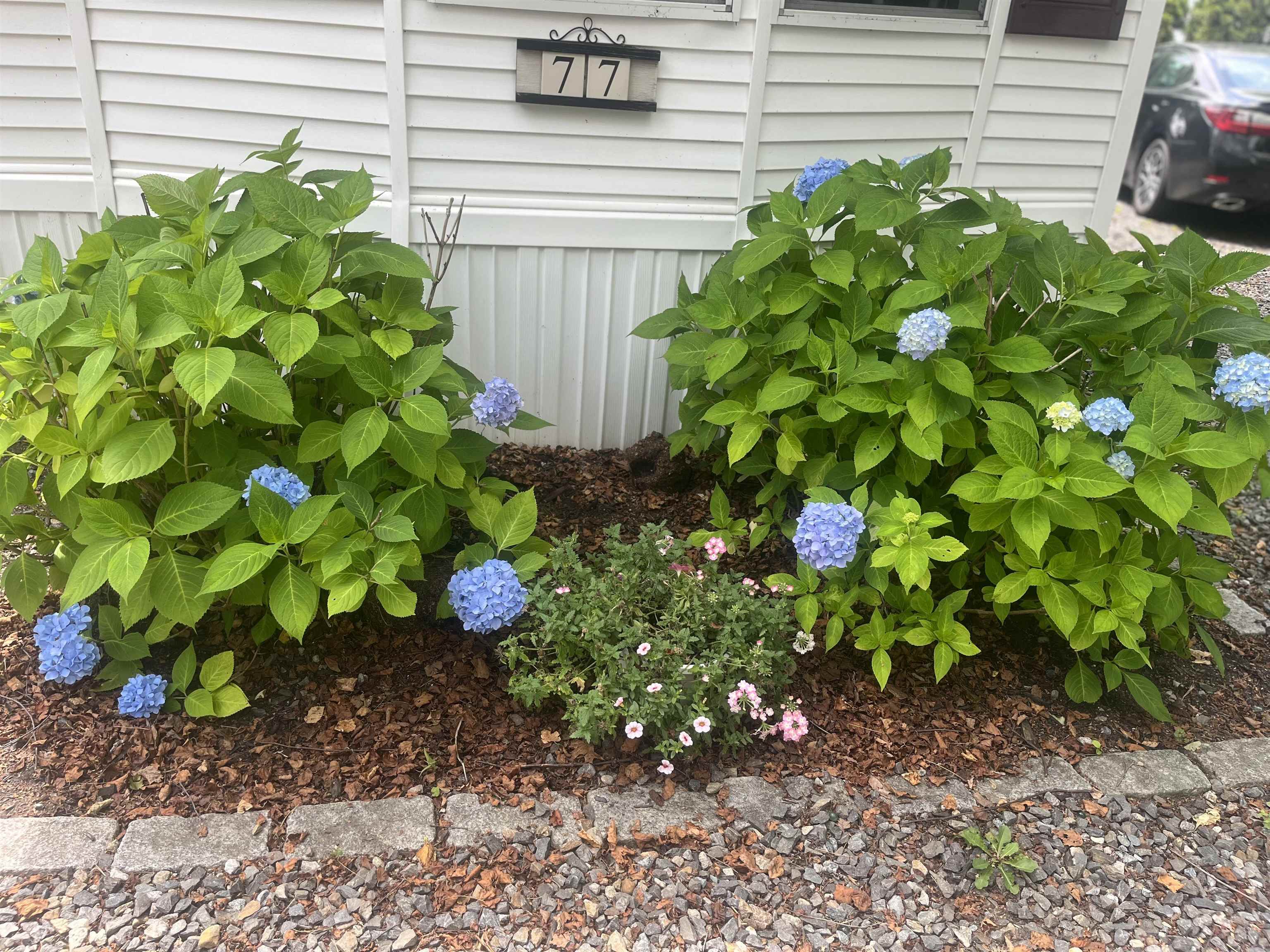 308 Route 286 Road, Unit 77 Kingston, NH 03848 - Photo 18 of 25