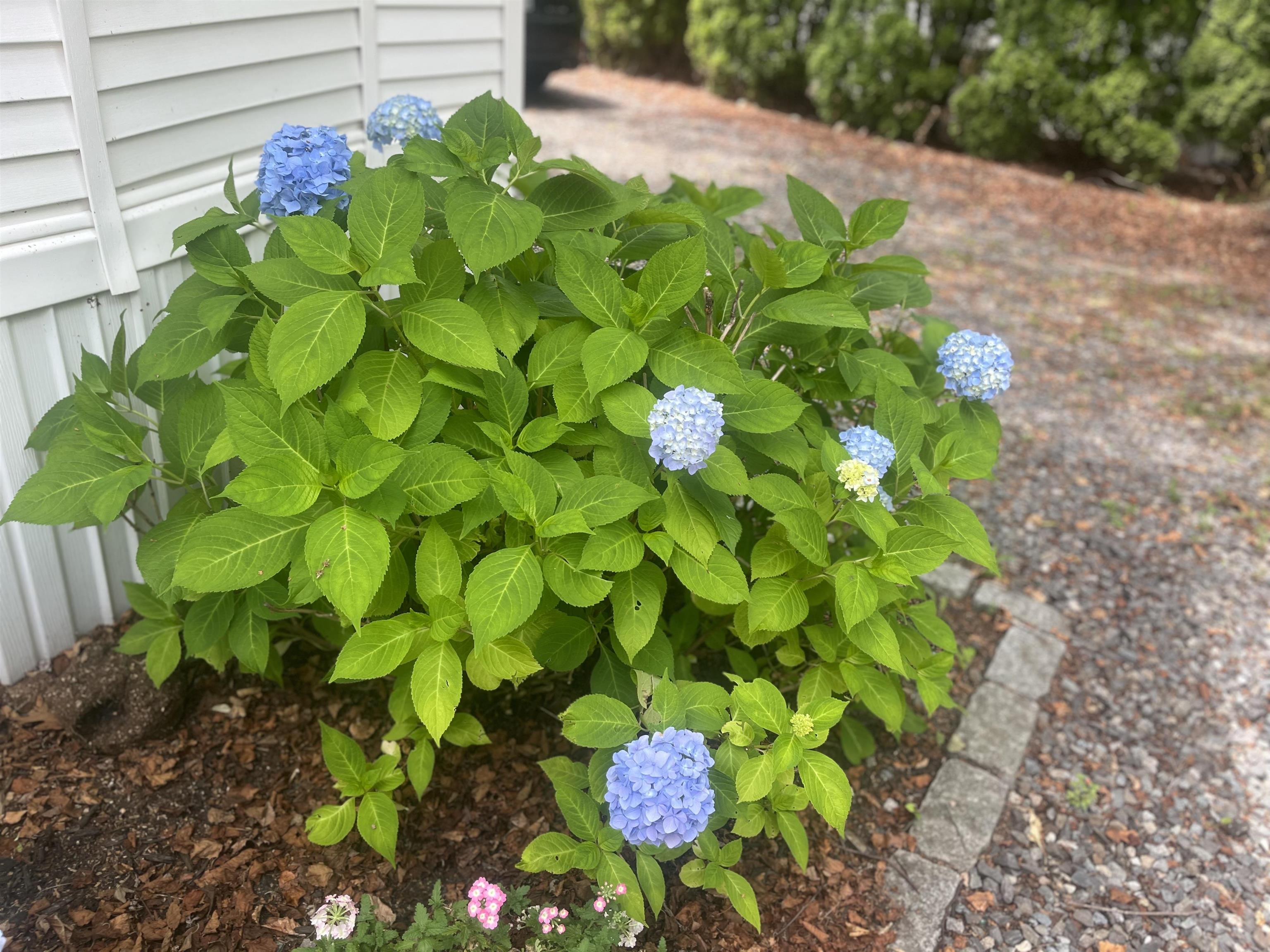 308 Route 286 Road, Unit 77 Kingston, NH 03848 - Photo 19 of 25