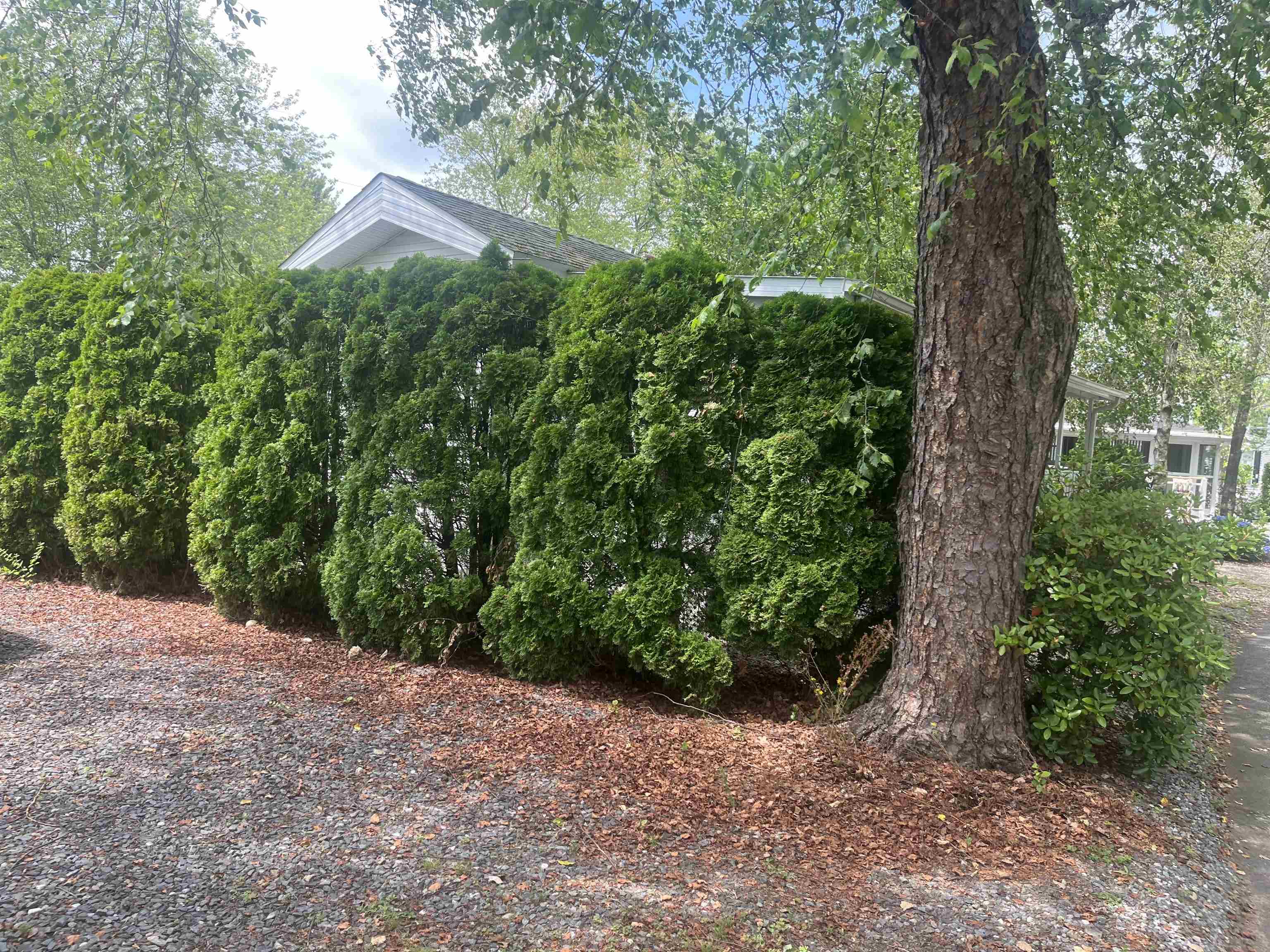 308 Route 286 Road, Unit 77 Kingston, NH 03848 - Photo 23 of 25