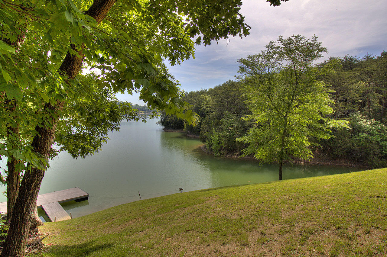 3024 Buck Horn Road Sevierville, TN 37876 - Photo 6 of 40 IMG_0159LR