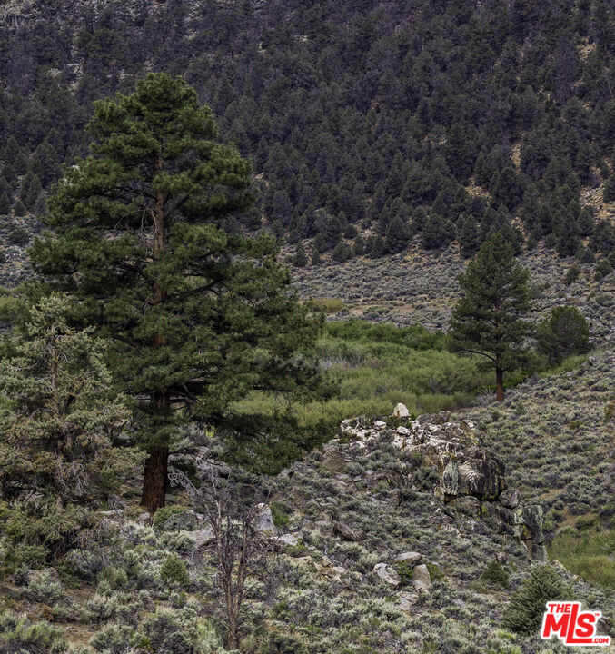 0 Pinon Street Inyokern, CA 93527 - Photo 4 of 7