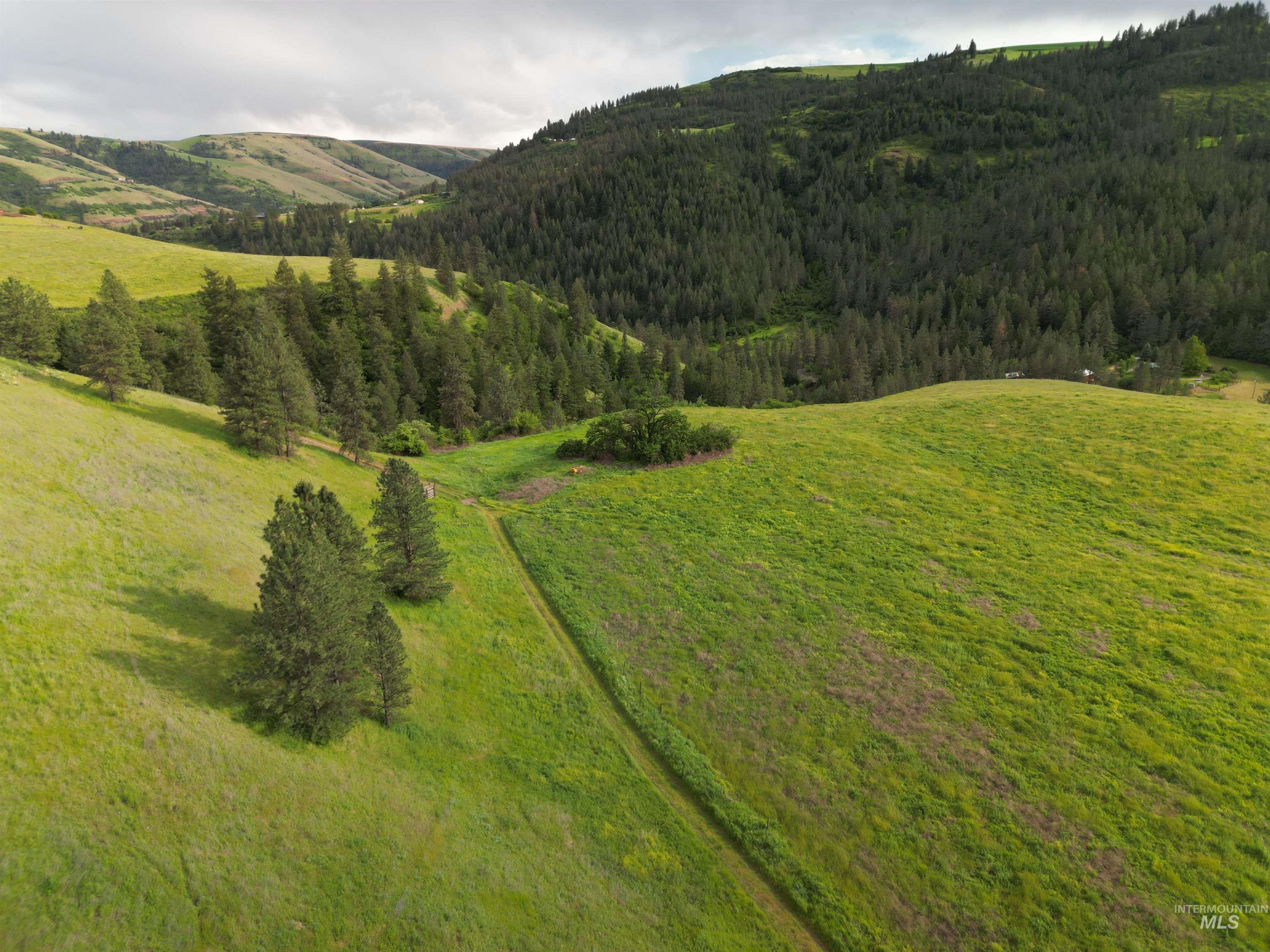 0 American Ridge Road Kendrick, ID 83537 - Photo 21 of 25