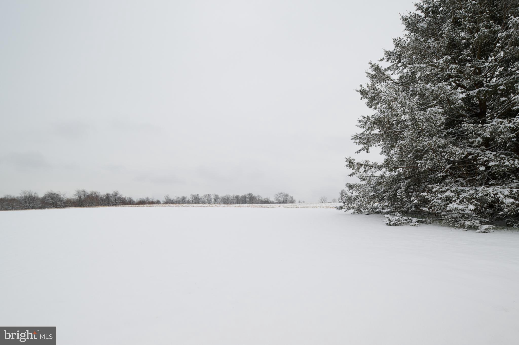 574 Buffalo Run Road Bellefonte, PA 16823 - Photo 50 of 54 a view of ocean view with large trees