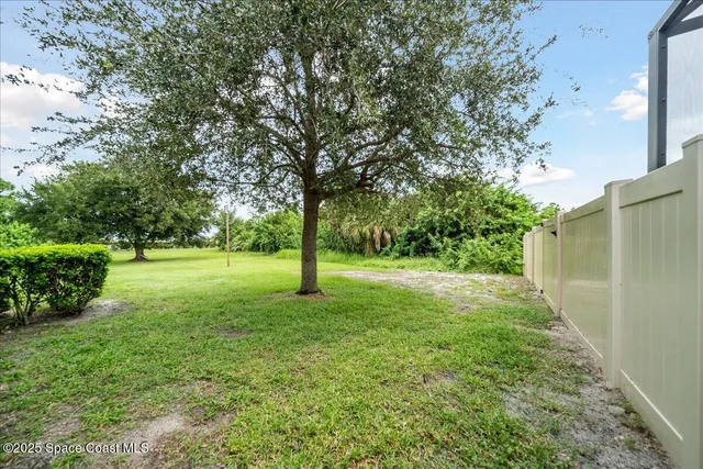 a view of a trees with a yard