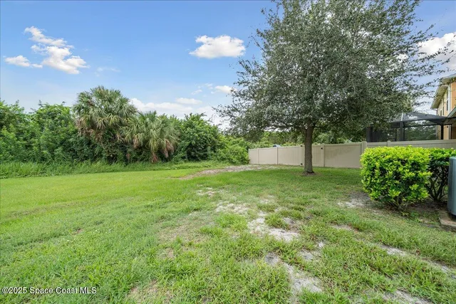 a view of a garden with a tree