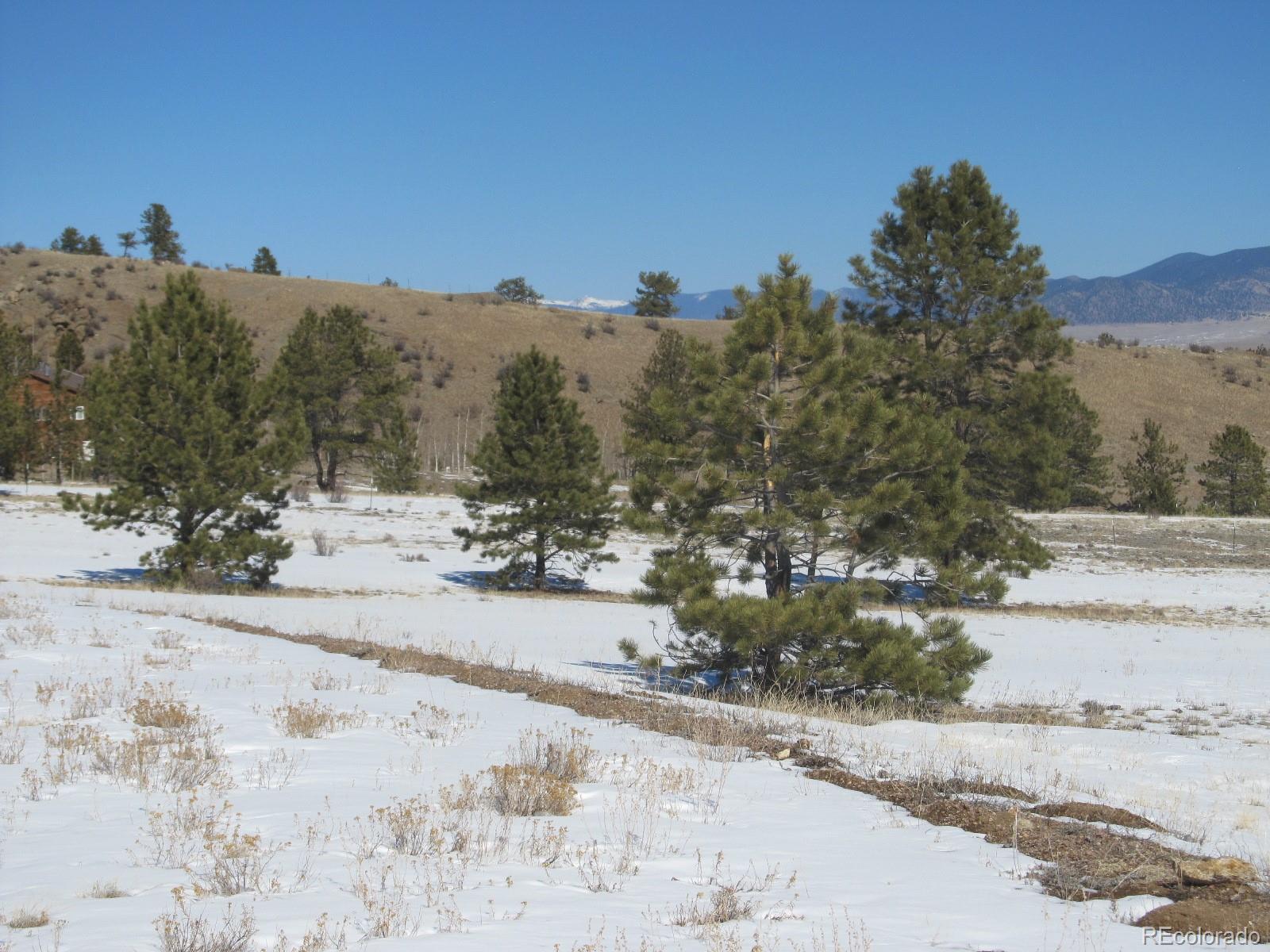 237 Black Beaver Road Hartsel, CO 80449 - Photo 2 of 7 a view of a road with a snow on the road
