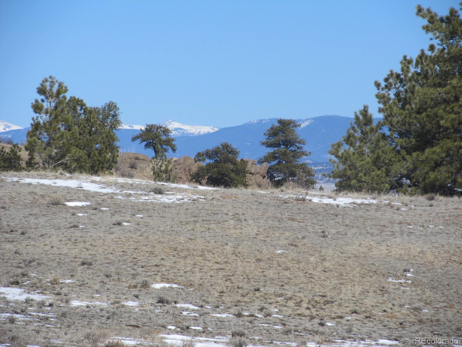 237 Black Beaver Road Hartsel, CO 80449 - Photo 5 of 7 a view of a dry yard with trees