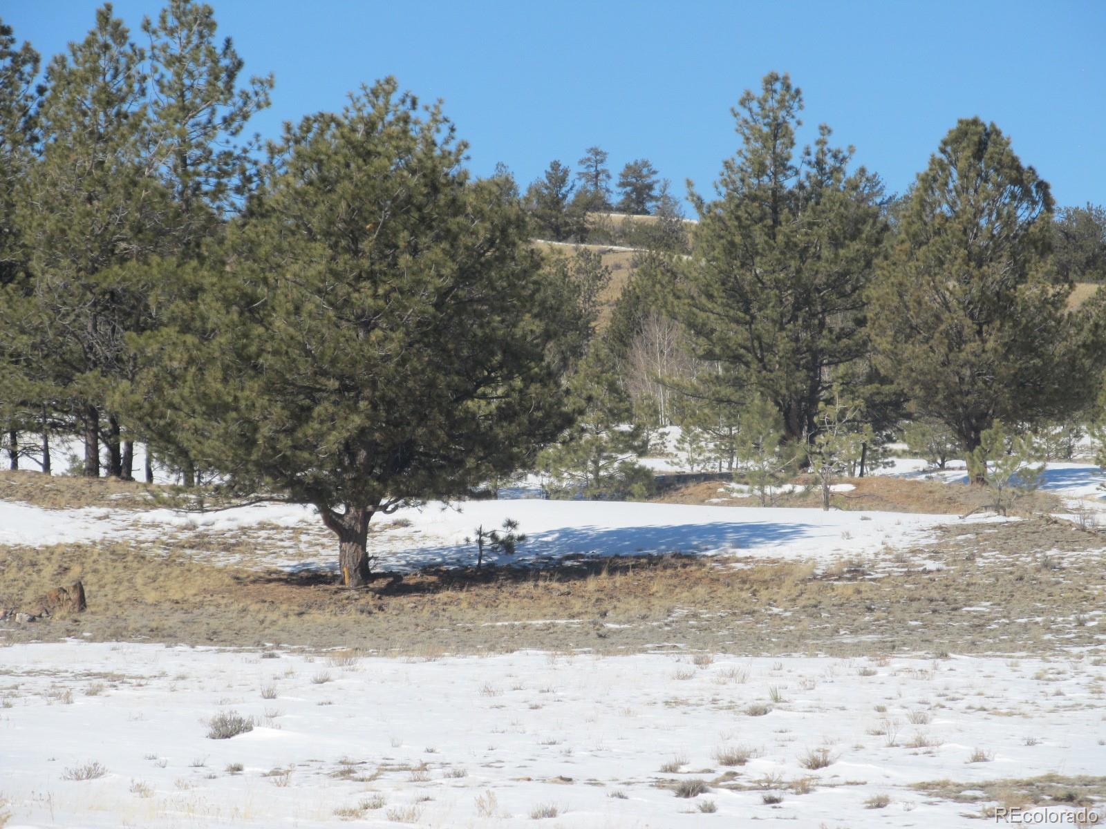 237 Black Beaver Road Hartsel, CO 80449 - Photo 6 of 7 a view of a yard with snow on the road