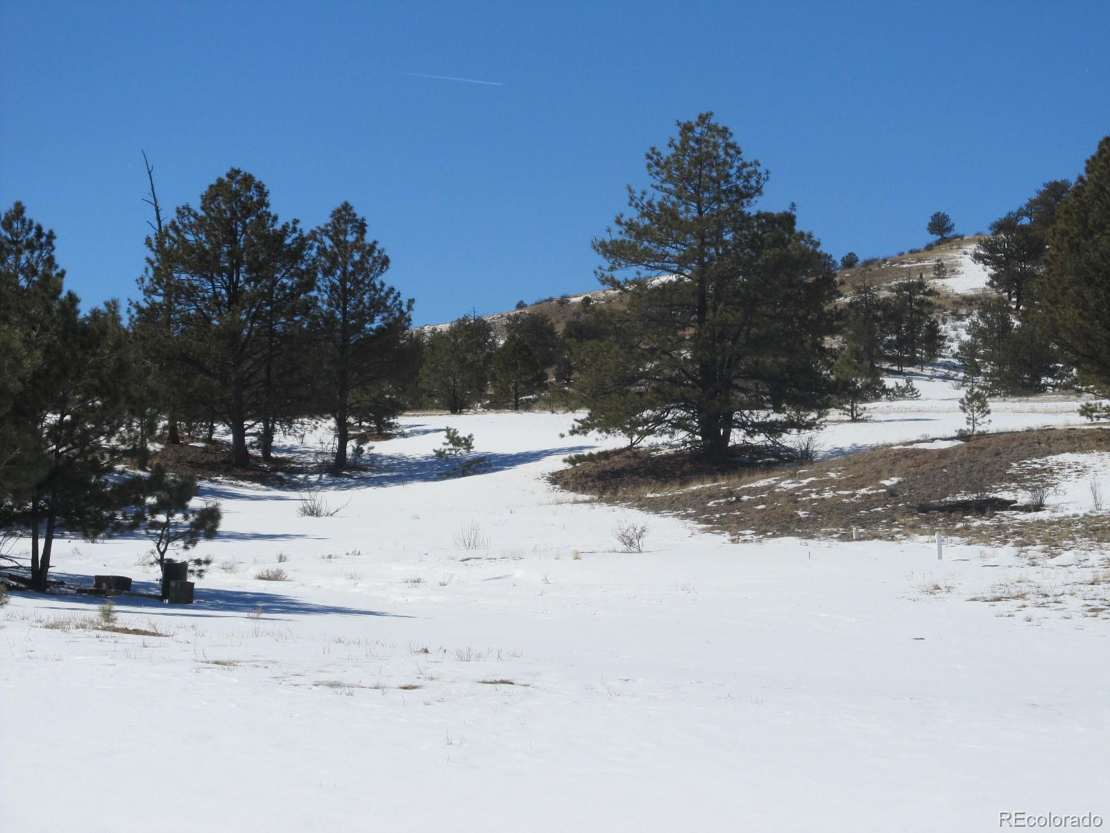 237 Black Beaver Road Hartsel, CO 80449 - Photo 7 of 7 a view of road with snow on the roadside