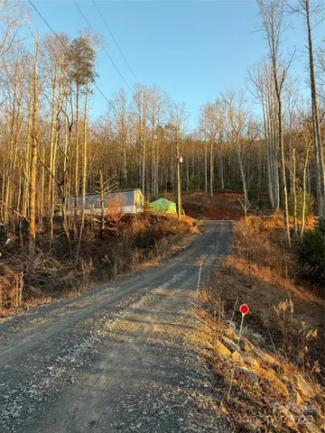 a view of a yard with trees