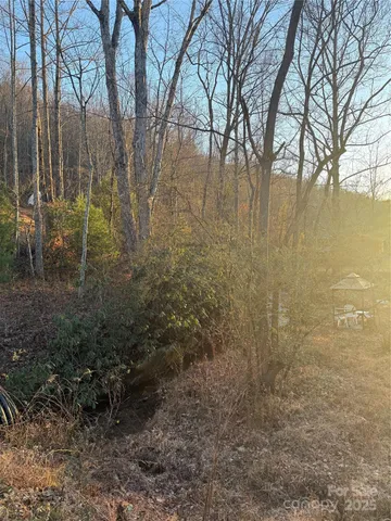 a view of a pathway with a backyard of a house