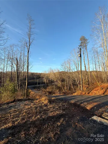 a view of a backyard with wooden fence