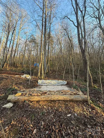 a view of a backyard with large trees