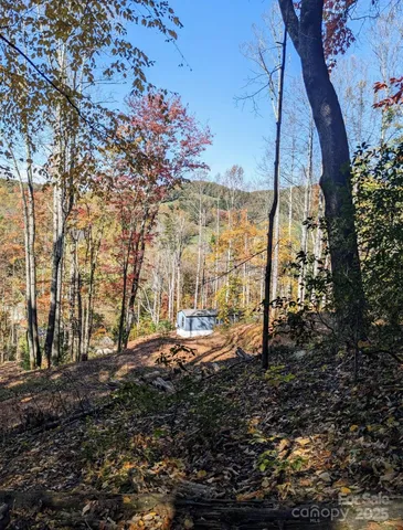 a view of outdoor space with garden