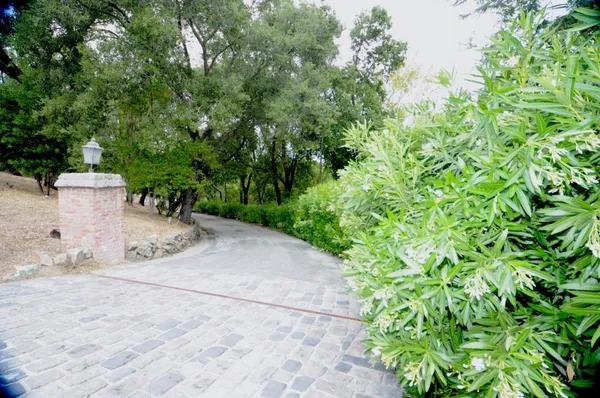 $12,995,000 | 389 Moore Road, Woodside, CA 94062