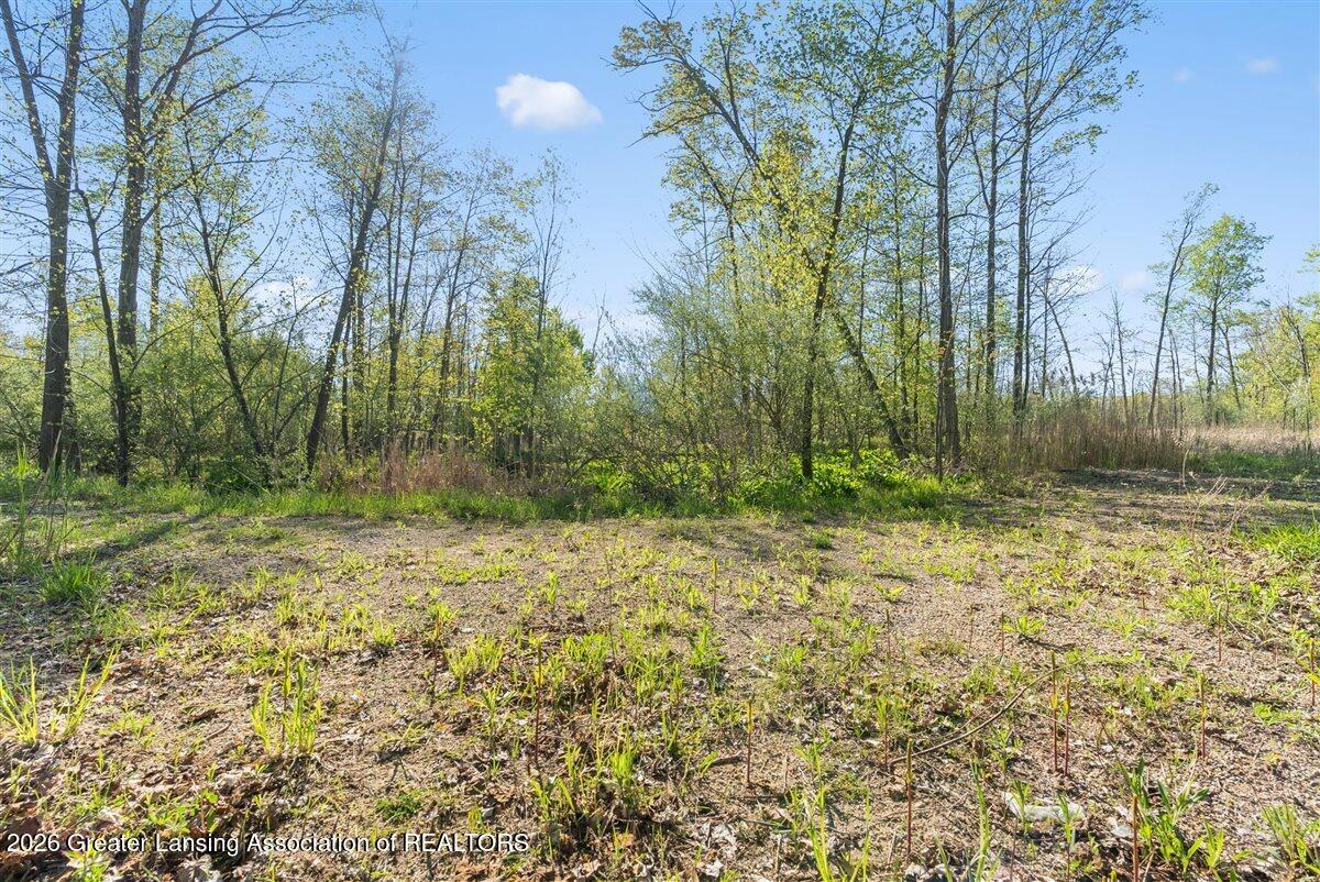 0 Bath Road Perry, MI 48872 - Photo 15 of 34 15-Media Jett - 15