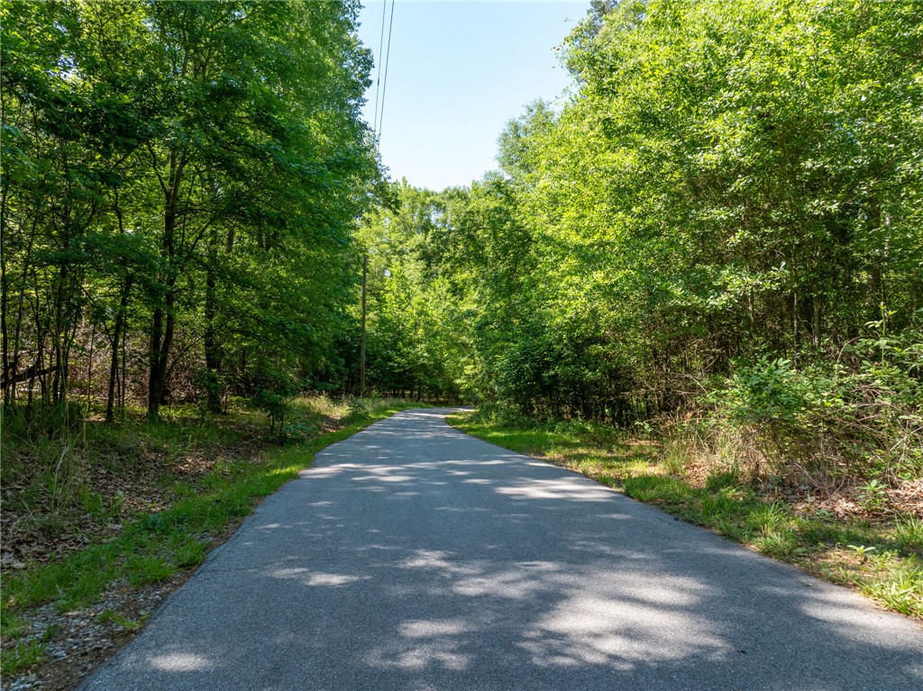 0 Ben Hurt Road Lyman, SC 29365 - Photo 19 of 21 A tranquil, tree-lined driveway invites you into this secluded property.