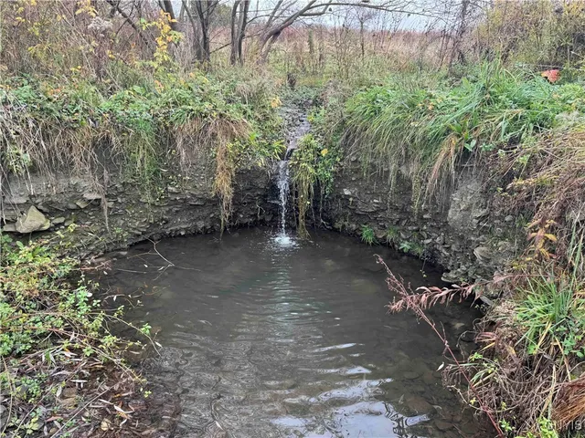 $29,400 | Dry Brook Road, Kennedy, NY 14747