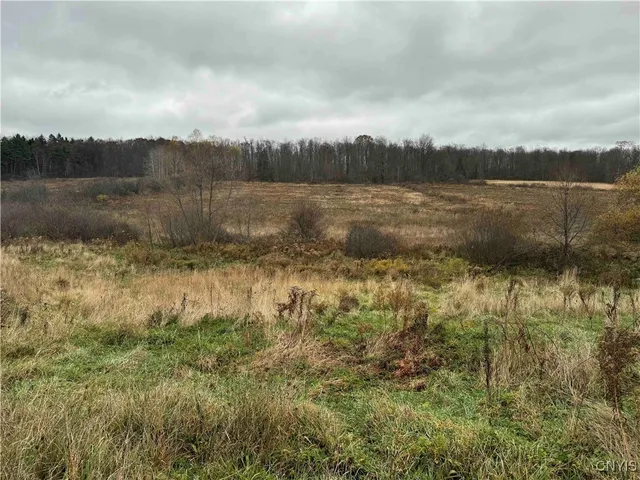 $29,400 | Dry Brook Road, Kennedy, NY 14747