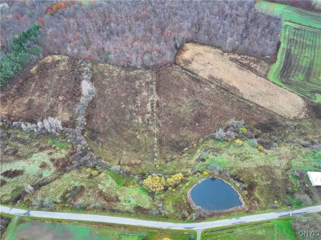 $29,400 | Dry Brook Road, Kennedy, NY 14747