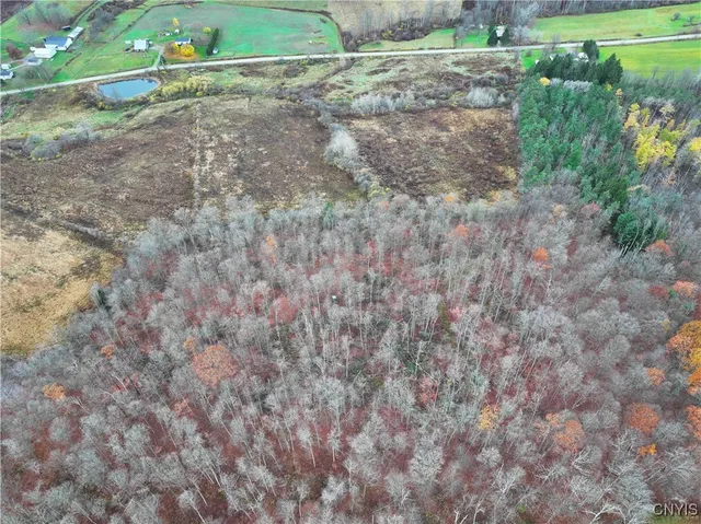 $29,400 | Dry Brook Road, Kennedy, NY 14747