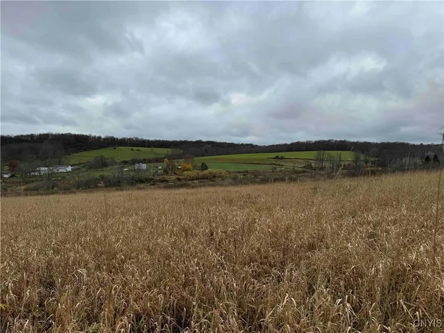 $29,400 | Dry Brook Road, Kennedy, NY 14747