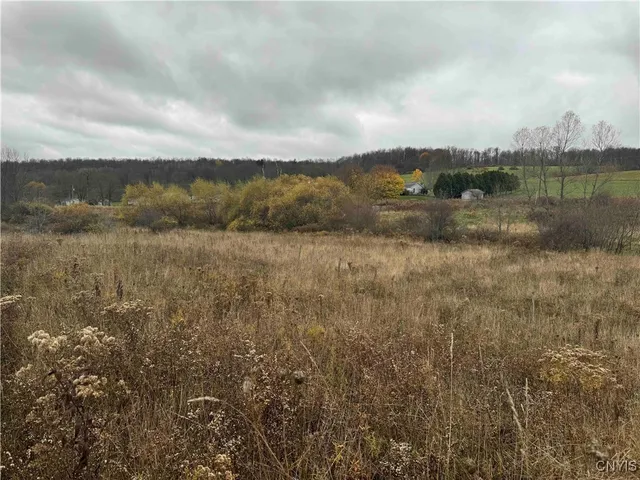 $29,400 | Dry Brook Road, Kennedy, NY 14747